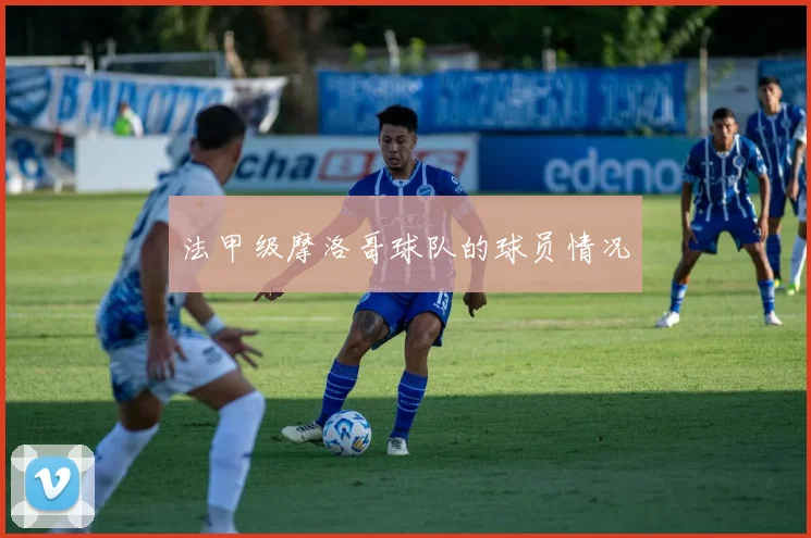 法甲级摩洛哥球队的球员情况