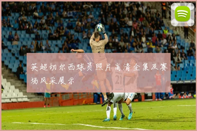 英超切尔西球员照片高清全集及赛场风采展示