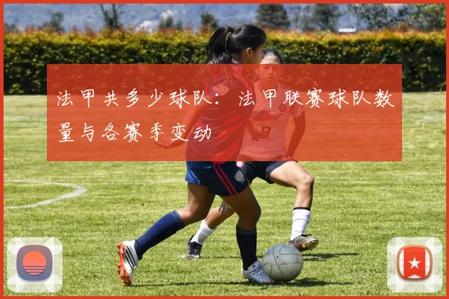 法甲共多少球队：法甲联赛球队数量与各赛季变动