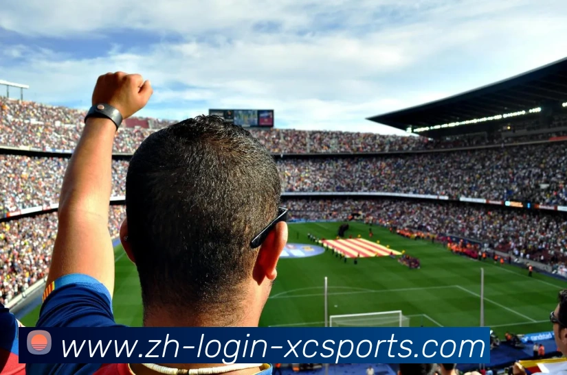 杏彩体育APP 封面图